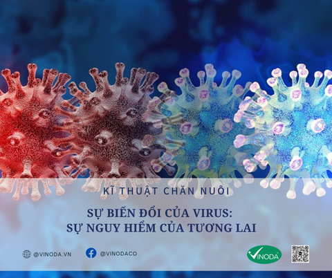 SỰ BIẾN ĐỔI CỦA VIRUS: SỰ NGUY HIỂM CỦA TƯƠNG LAI
