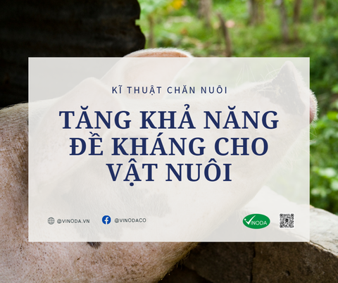 TĂNG KHẢ NĂNG ĐỀ KHÁNG CHO VẬT NUÔI