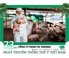 Sự đóng góp của ngành thú y Việt Nam trong việc bảo vệ sức khỏe động vật và loài người