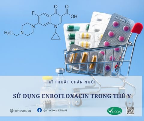 Sử dụng Enrofloxacin trong thú y