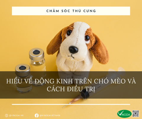 Hiểu về động kinh trên chó mèo và cách điều trị