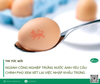 Ngành công nghiệp trứng nước Anh yêu cầu chính phủ xem xét lại việc nhập khẩu trứng