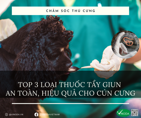TOP 3 LOẠI THUỐC TẨY GIUN AN TOÀN, HIỆU QUẢ CHO CÚN CƯNG