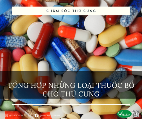 TỔNG HỢP NHỮNG LOẠI THUỐC BỔ CHO THÚ CƯNG