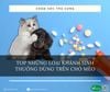 Các loại kháng sinh dùng phổ biến cho chó mèo