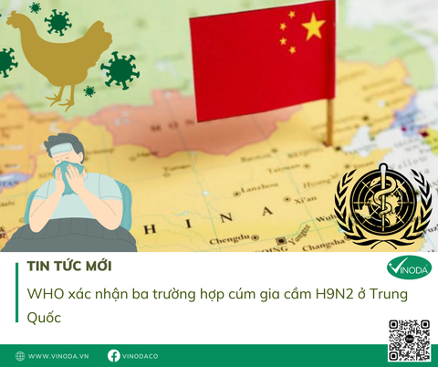 WHO xác nhận ba trường hợp cúm gia cầm H9N2 ở Trung Quốc