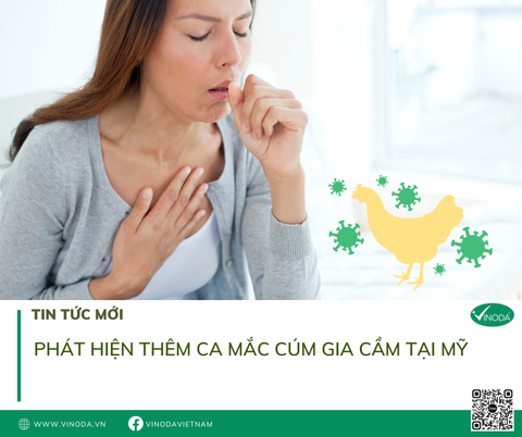 Phát hiện thêm ca mắc cúm gia cầm tại Mỹ