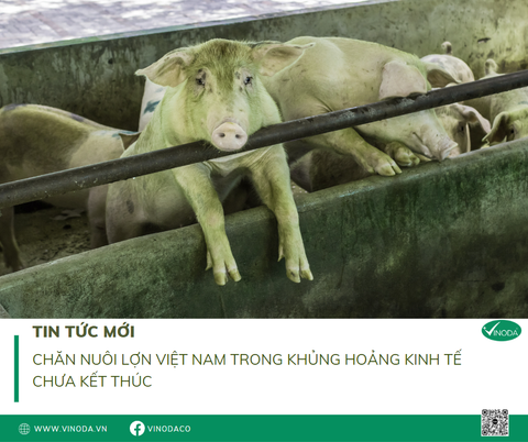 CHĂN NUÔI VIỆT NAM TRONG KHỦNG HOẢNG KINH TẾ : CHƯA KẾT THÚC