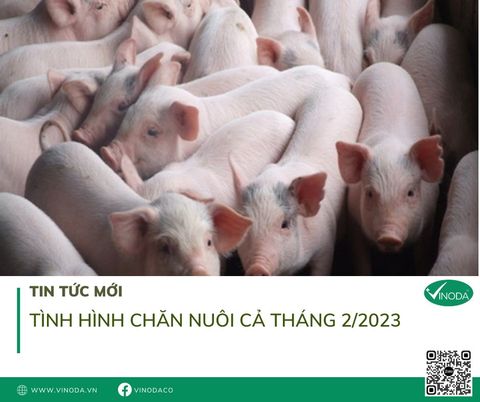 TÌNH HÌNH CHĂN NUÔI CẢ NƯỚC THÁNG 2/2023