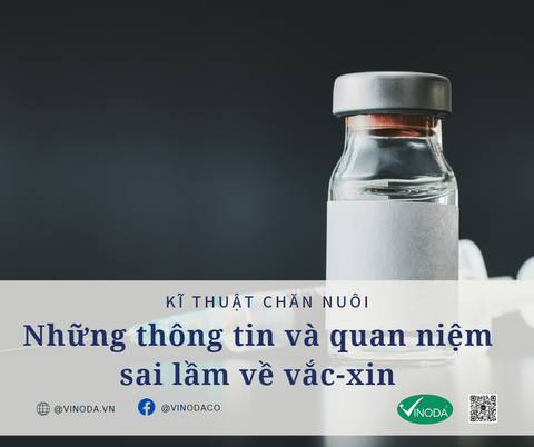 Những thông tin và quan niệm sai lầm về vắc-xin