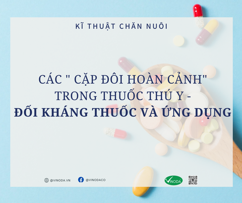 Các 