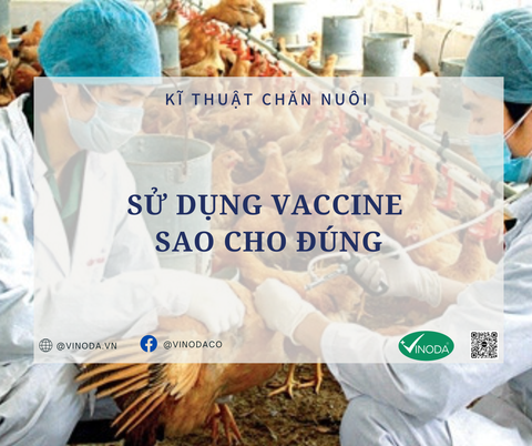 SỬ DỤNG VACCINE SAO CHO ĐÚNG