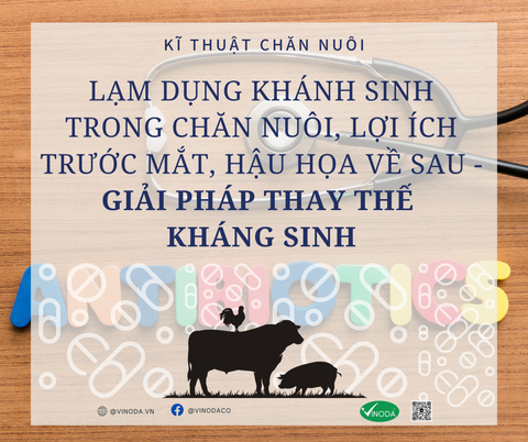 Lạm dụng kháng sinh trong chăn nuôi, lợi ích trước mắt hậu họa về sau – giải pháp thay thế kháng sinh