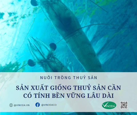 SẢN XUẤT GIỐNG THUỶ SẢN CẦN CÓ TÍNH BỀN VỮNG LÂU DÀI
