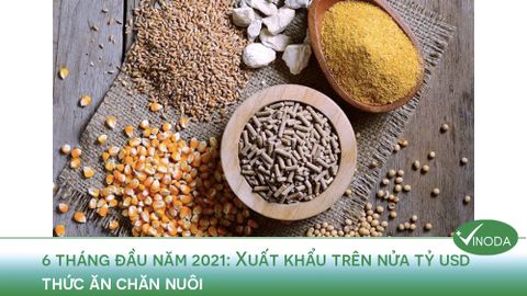 6 tháng đầu năm 2021: Xuất khẩu trên nửa tỷ USD thức ăn chăn nuôi