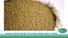 Vietnam: Animal feed export to China rose over 2 times