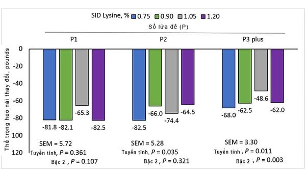 Hình 1: Ước tính thể trọng trung bình của heo nái giảm đi trong số lứa đẻ (ngày 112 của thai kỳ cho đến khi cai sữa) khi heo nái cho ăn khẩu phần tăng SID Lysine ở giai đoạn nuôi con.