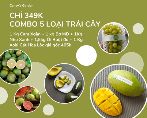 Combo 5 Loại Trái Cây