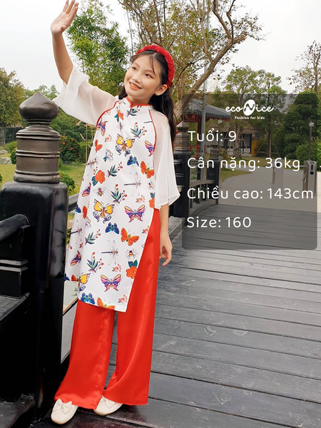 Hình ảnh sản phẩm