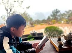 Điều gì xảy ra khi uống trà mỗi ngày?