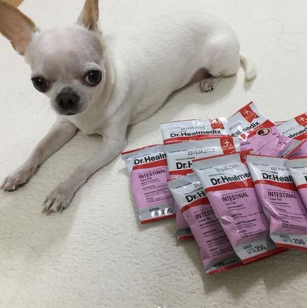 HIỂU RÕ VỀ THỨC ĂN ĐẠM THUỶ PHÂN CHO THÚ CƯNG ?