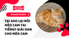 Tại Sao Lại Nói Mèo Cam Tai Tiếng? Giải Oan Cho Mèo Cam