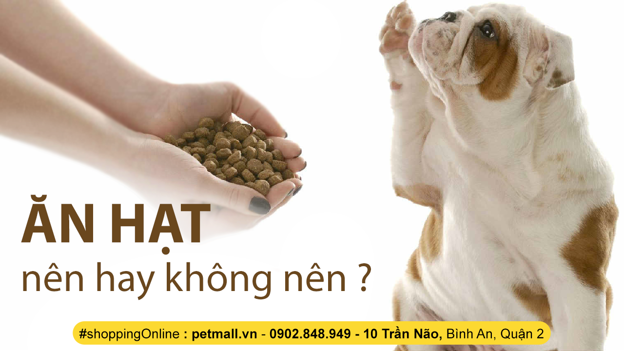 CÓ NÊN CHO THÚ CƯNG ĂN THỨC ĂN HẠT HAY KHÔNG ?