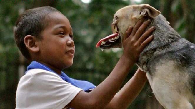 Anh hùng không ngại hiểm nguy cho dù mất đi nửa khuôn mặt