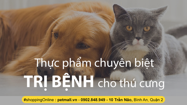 NHỮNG DÒNG THỰC  PHẨM CHUYÊN BIỆT TRỊ BỆNH DÀNH CHO CHÓ MÈO