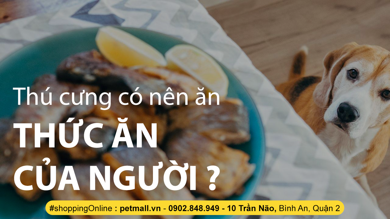THÚ CƯNG CÓ NÊN ĂN THỨC ĂN CỦA NGƯỜI ?