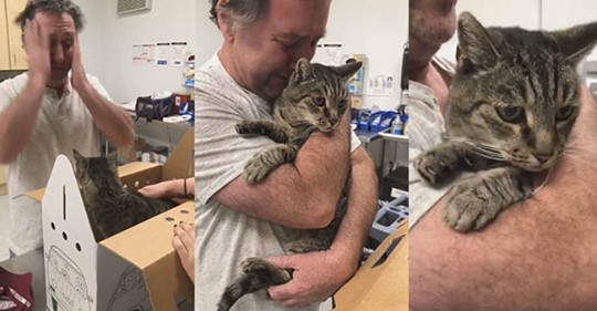 Người đàn ông bật khóc khi được đoàn tụ với chú mèo cưng đã mất tích 7 năm