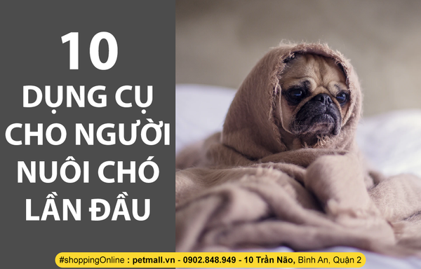 10 DỤNG CỤ CHO NGƯỜI NUÔI CHÓ LẦN ĐẦU