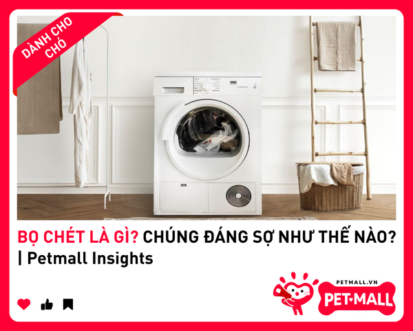 BỌ CHÉT LÀ GÌ? CHÚNG ĐÁNG SỢ NHƯ THẾ NÀO? | Petmall Insights