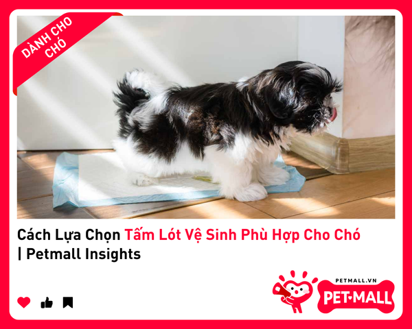 Cách Lựa Chọn Tấm Lót Vệ Sinh Phù Hợp Cho Chó | Petmall Insights