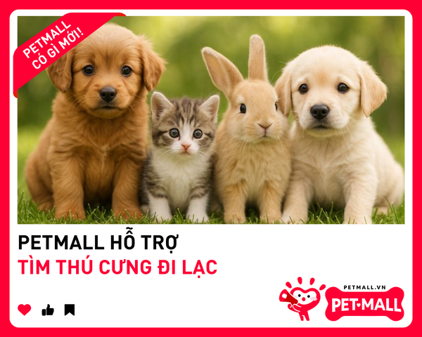 PETMALL HỖ TRỢ TÌM THÚ CƯNG ĐI LẠC