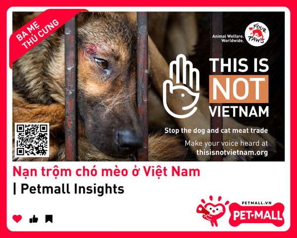 Nạn trộm chó mèo ở Việt Nam | Petmall Insights