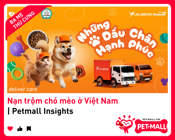 Nạn trộm chó mèo ở Việt Nam | Petmall Insights