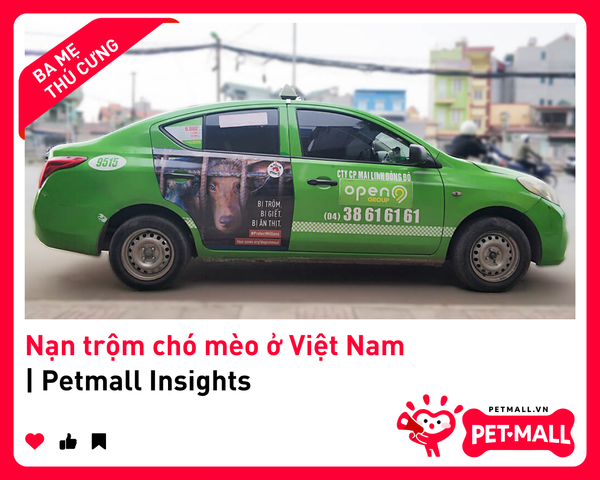 Nạn trộm chó mèo ở Việt Nam | Petmall Insights