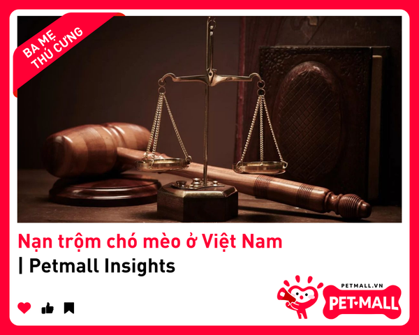Nạn trộm chó mèo ở Việt Nam | Petmall Insights