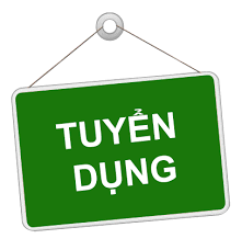 [BISON MDF] Thông báo tuyển dụng