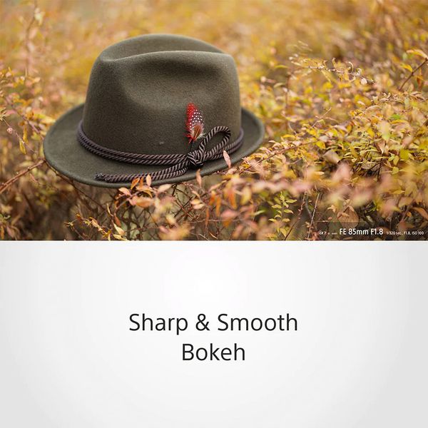 ong-kinh-sony-fe-85mm