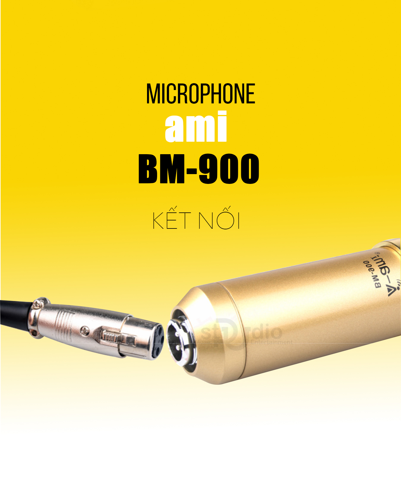 MICRO THU ÂM Ami BM900