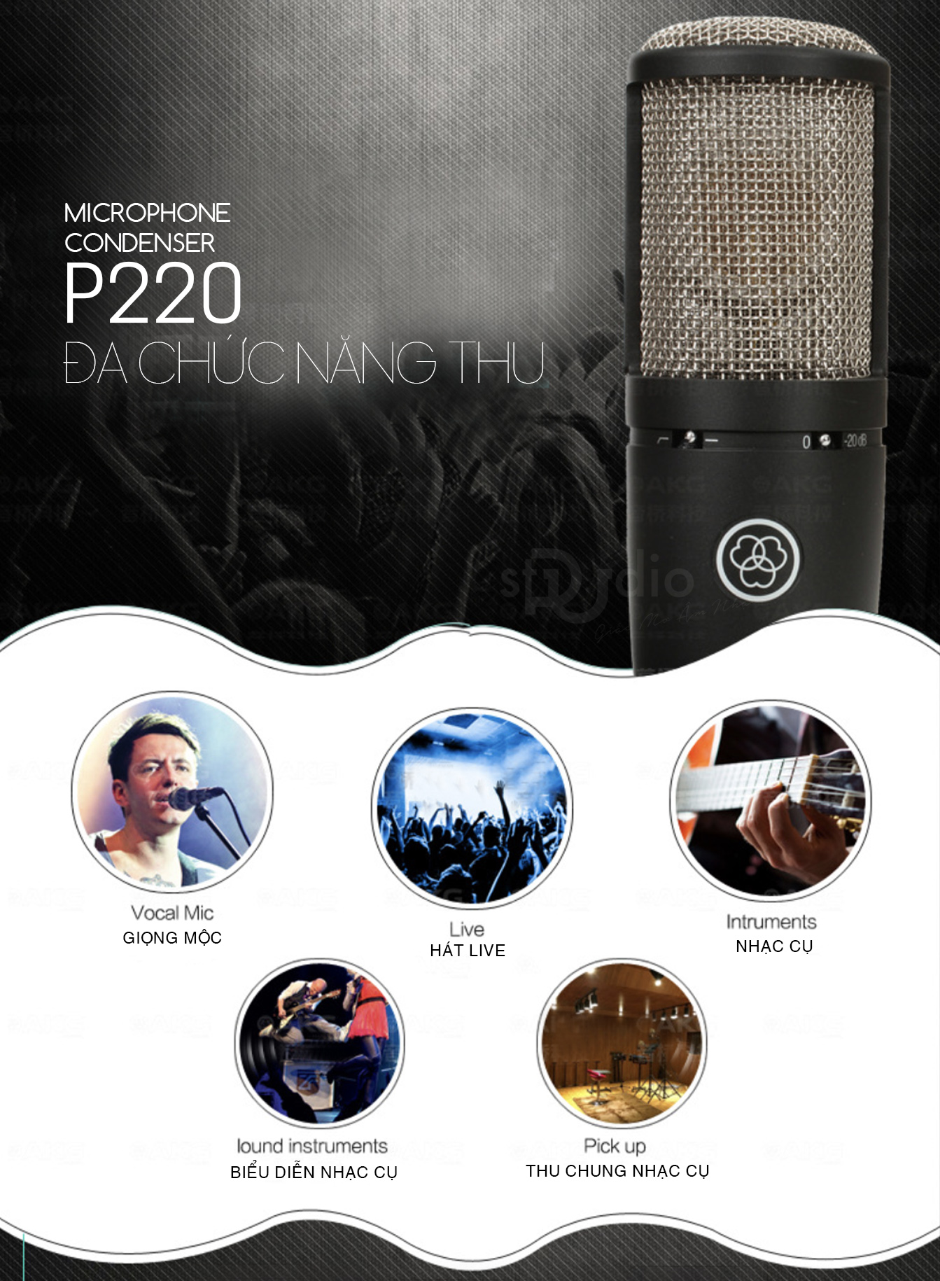 Micro thu âm cao cấp AKG P220, Microphone condenser studio