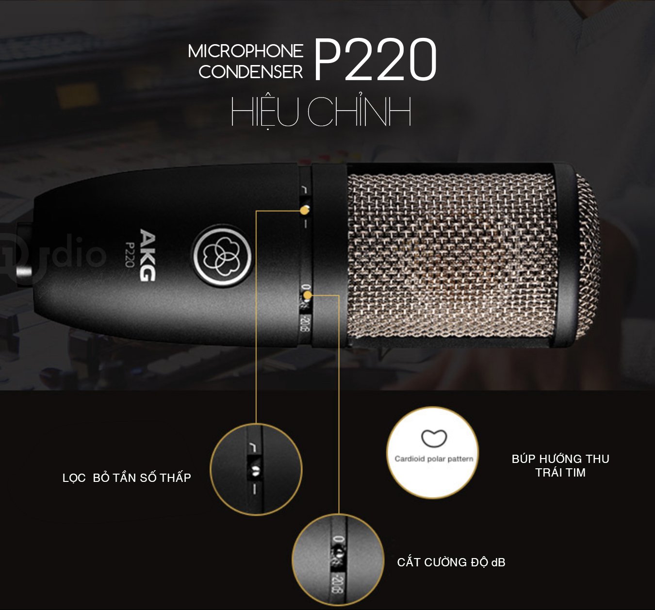 Micro thu âm cao cấp AKG P220, Microphone condenser studio