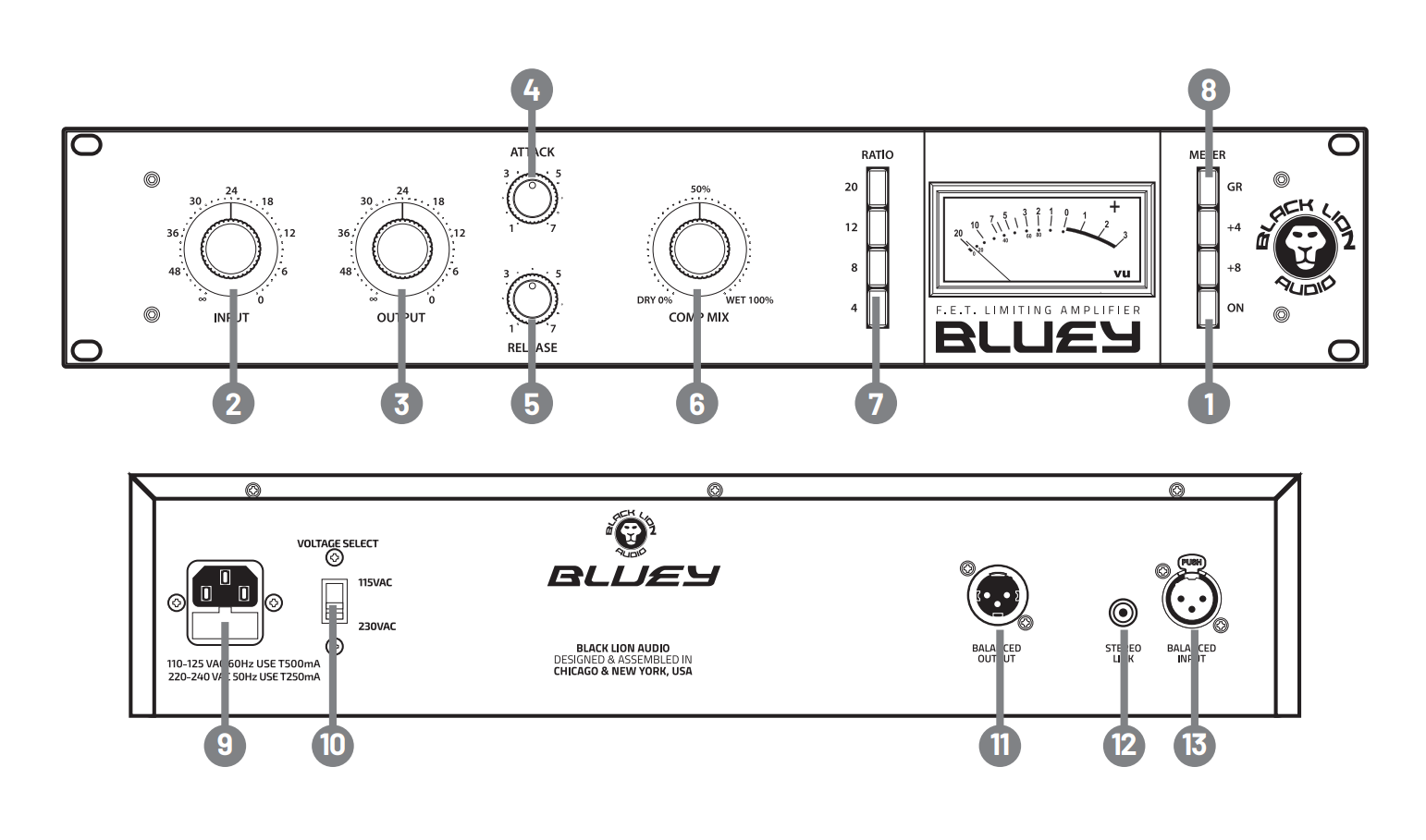 Thiết kế chi tiết Black Lion Audio Bluey Compressor