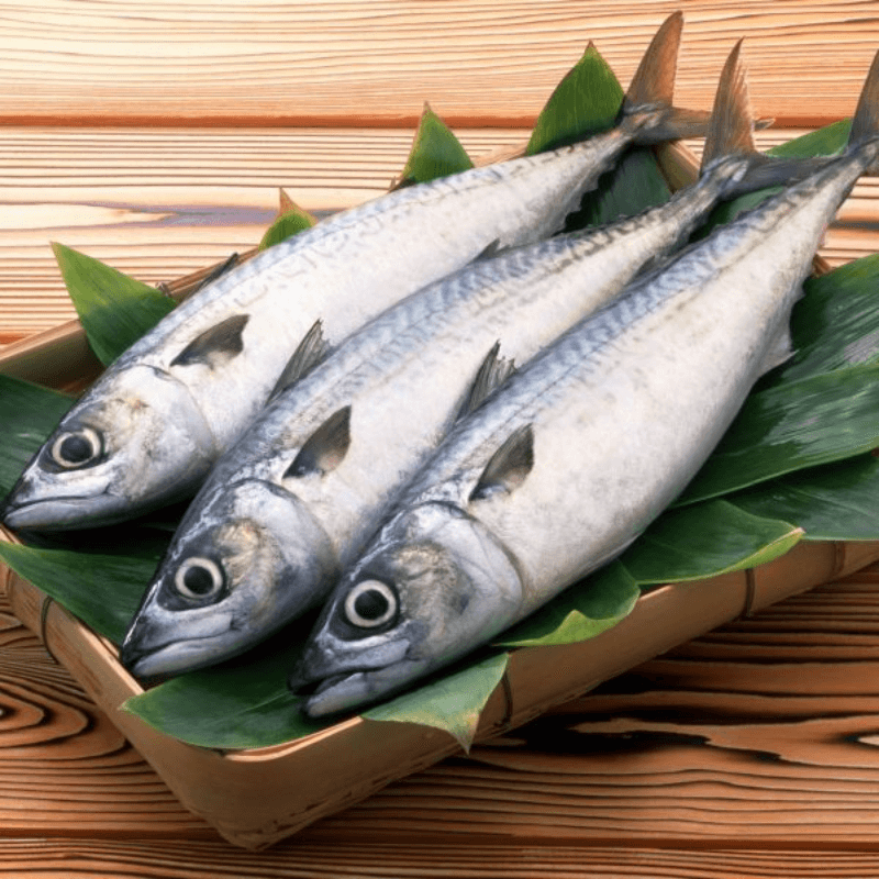 Các loại hải sản có thể gây ngộ độc