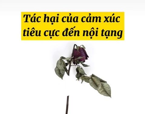 Biết càng sớm càng có lợi: Tác hại của cảm xúc tiêu cực đến nội tạng