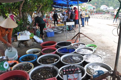 Chợ hải sản ăn liền độc đáo, rẻ nhất Việt Nam