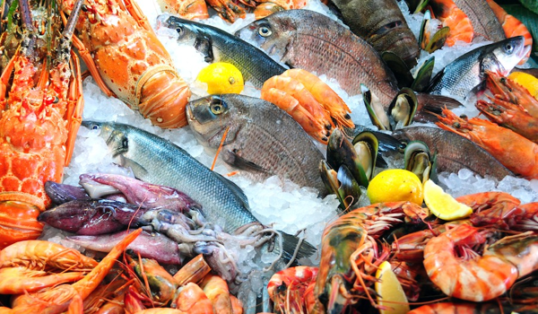 Hải Sản Cấp Đông - Hải sản đông lạnh liệu có còn tươi ngon như hải sản sống ?