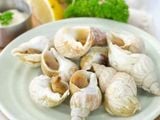 Ốc Bulot Pháp là gì? Khám phá những món ngon hấp dẫn được làm từ ốc Bulot